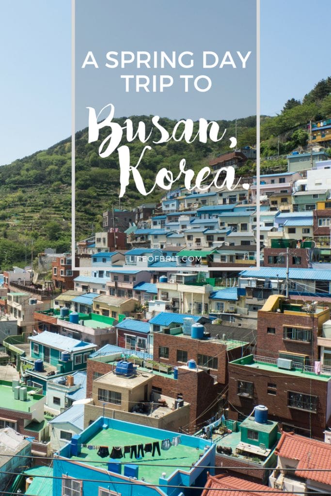 A Spring Day Trip to Busan, South Korea