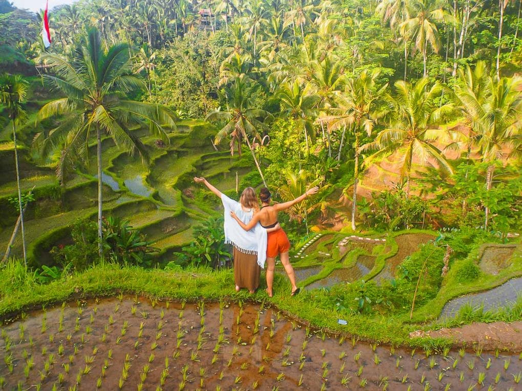 rice fields Bali
