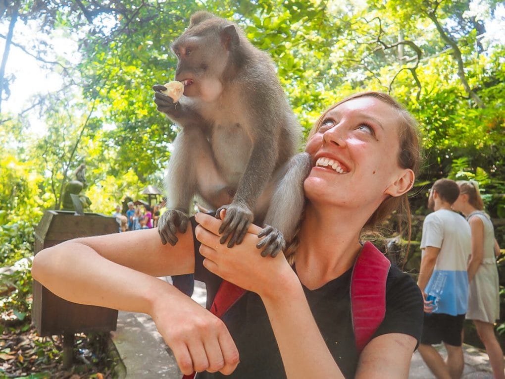 monkey forest Bali