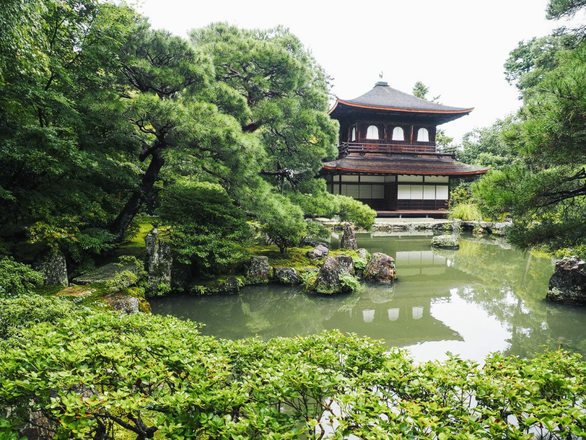 8 Platforms to Teach English Online to Japanese Students life of brit