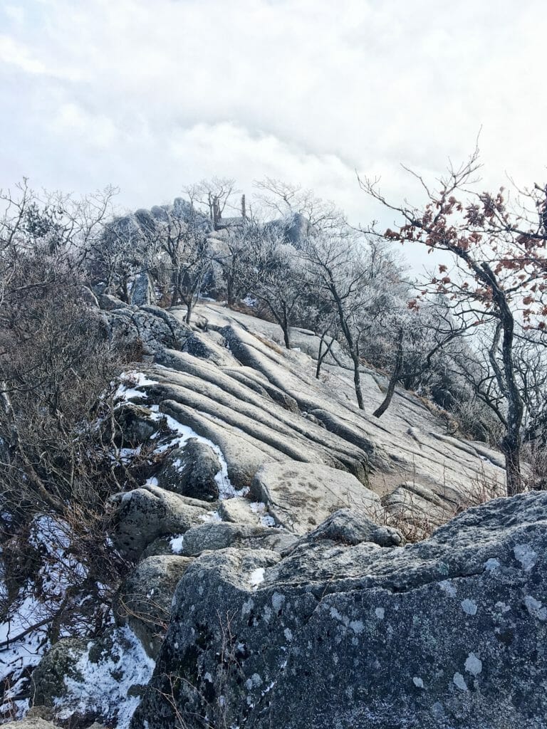 winter in korea