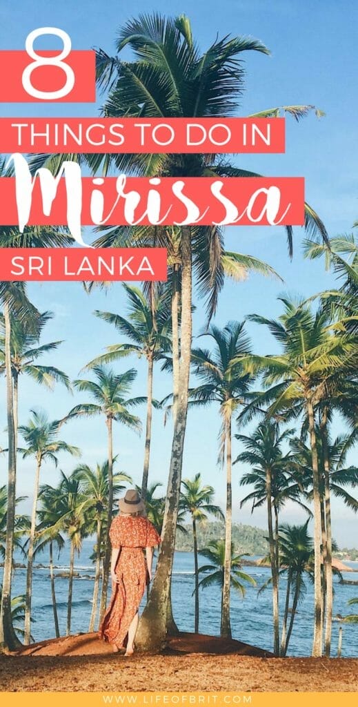 things to do in mirissa sri lanka