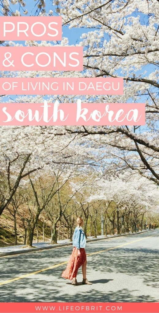 living in Daegu