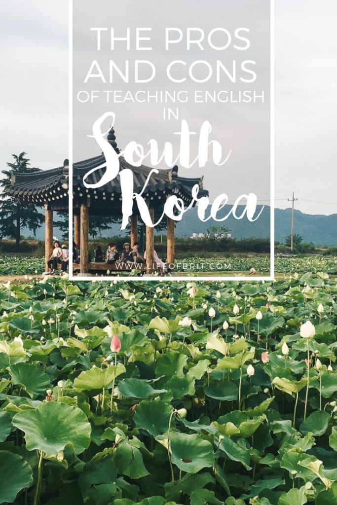 pros and cons of teaching English in korea Pinterest 1