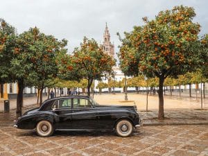 48 hours in Seville guide featured image