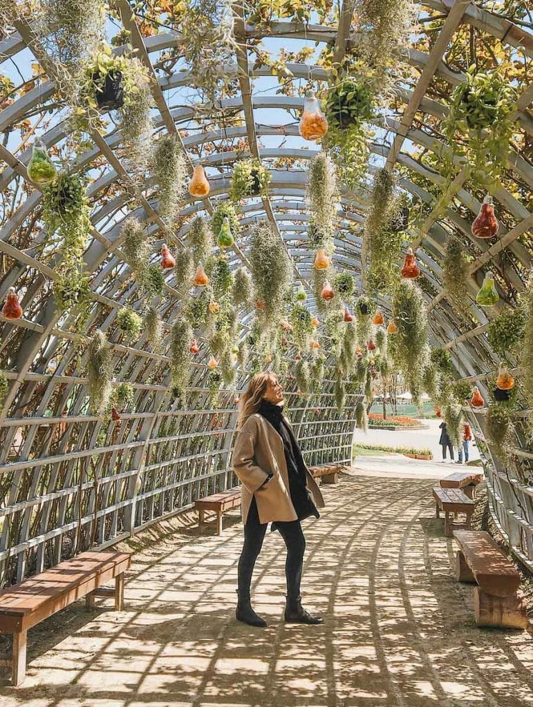 Suncheon Bay Gardens