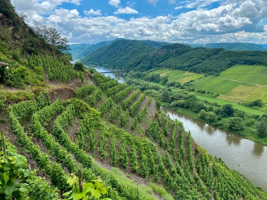 Mosel River Valley